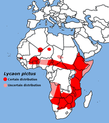 african wild dog habitat maps